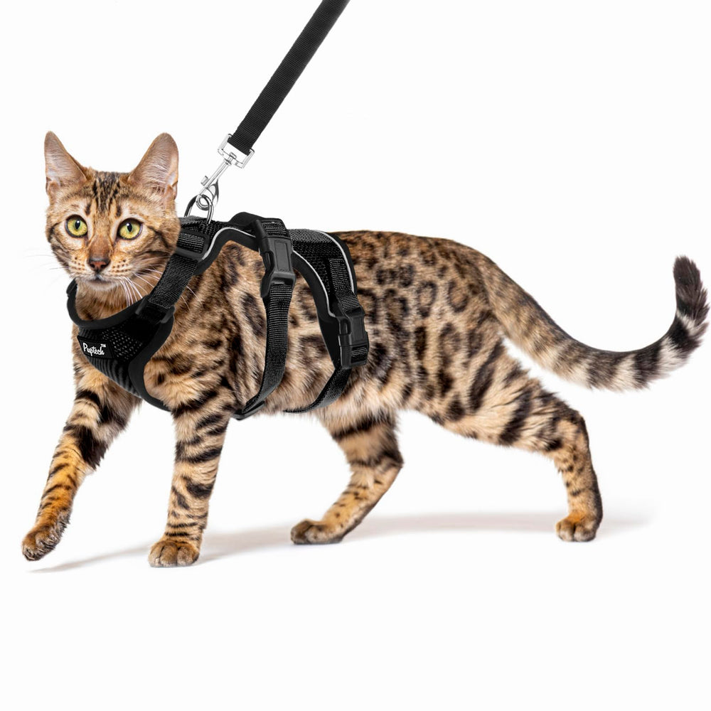PUPTECK arnés gato antifuga para paseos seguros y controlados