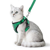 Arnés PUPTECK para gatos en verde oscuro, cómodo y seguro para paseos.