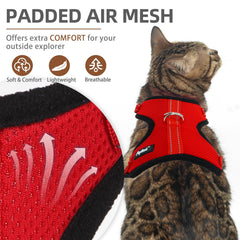 Arnés PUPTECK para gato con hebillas rápidas para colocar con facilidad