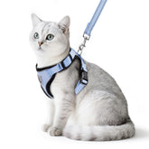 PUPTECK Arnés de gato reflectante para paseo seguro y visible por la noche.