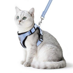 PUPTECK Arnés de gato reflectante para paseo seguro y visible por la noche.