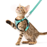 Arnés PUPTECK para gatos Aguamarina, vista frontal, ajuste cómodo y seguro.