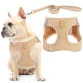 PUPTECK arnés-malla-ligero: comodidad y transpirabilidad para paseos largos.