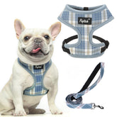 PUPTECK arnés malla suave azul cielo, cómodo para paseos diarios.
