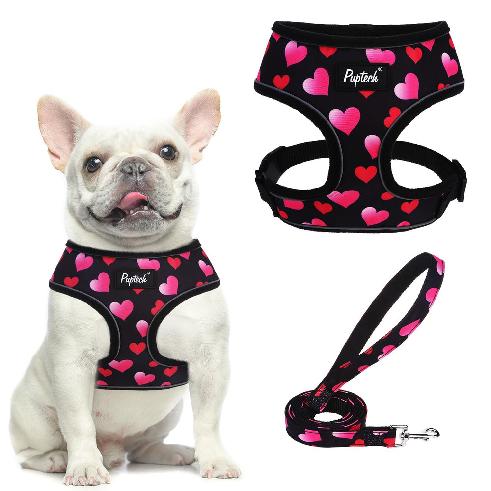 PUPTECK arnés de malla suave con diseño de amor para paseos diarios.