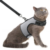 PUPTECK arnés de malla suave para gato, enfoque frontal cómodo para paseos.