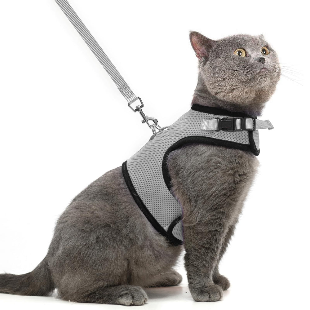 Arnés de PUPTECK con malla suave para gatos, cómodo y transpirable
