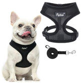 PUPTECK arnés malla suave para perros: cómodo, ligero y ideal para paseos diarios.