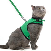 PUPTECK arnés-malla-suave en verde profundo, ideal para paseos cómodos.