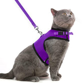 PUPTECK arnés de malla suave para gatos, cómodo y transpirable.