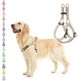 PUPTECK arnés paso-en, cómodo y sin tirones para paseos suaves.