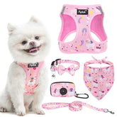Arnés PUPTECK para perro ajustable, frente seguro para paseos.