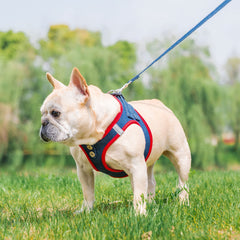 PUPTECK arnés con diseño de paso frontal facilita colocarlo en perros inquietos.
