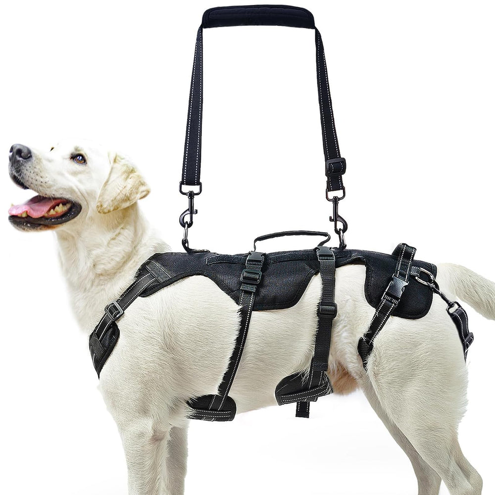 PUPTECK arnés para perro mediano con correas traseras que facilitan subir escaleras.