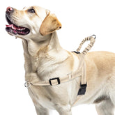 Arnés PupTeck no tirones en perro, distribución de presión para paseos más tranquilos