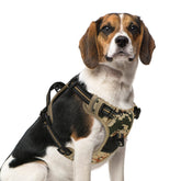 Arnés PUPTECK sin tirón frontal con D para paseos tranquilos.