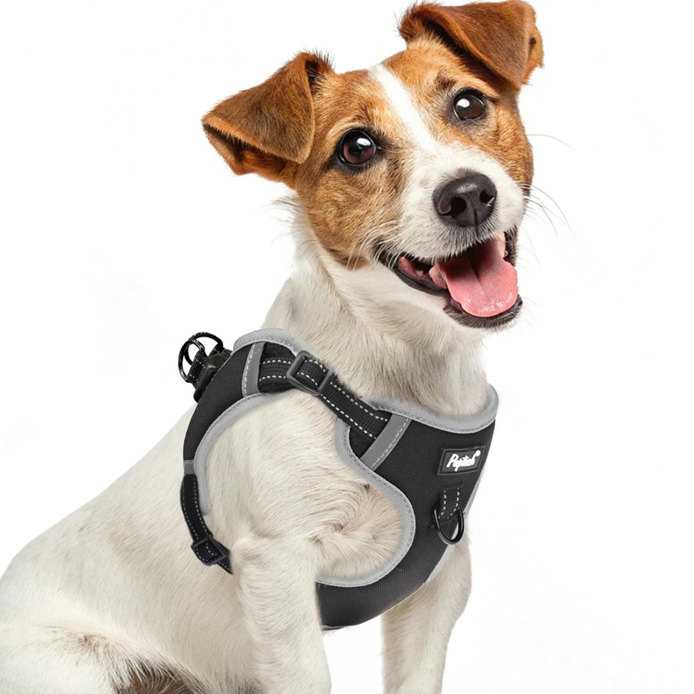 PUPTECK arnés sin tirones para paseos controlados