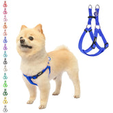 Arnés PUPTECK sin tirones para paseo cómodo y control.