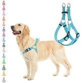 Arnés PUPTECK para perros sin tirones, ideal para paseos cómodos.