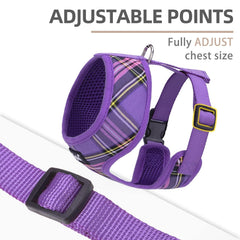Diseño a cuadros PupTeck morado para estilo diario