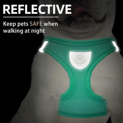 Arnés reflectivo de PUPTECK con doble anillo para seguridad nocturna