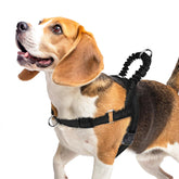 PUPTECK arnés sin tirones visto de frente para control suave durante paseos
