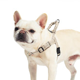 Arnés PUPTECK sin tirón para perro pequeño, vista frontal, confort durante paseos