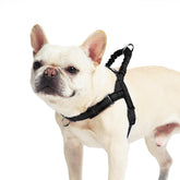 Arnés PUPTECK sin tirón para perro pequeño, ajuste cómodo para paseos.