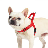 PUPTECK arnés sin tirones con mango elástico para control suave durante paseos.