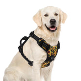 PUPTECK arnés sin tirón XL, enfoque frontal, reduce tirones para paseos diarios.
