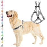 PUPTECK arnés sin tirón para perros, cómodo control durante paseos diarios