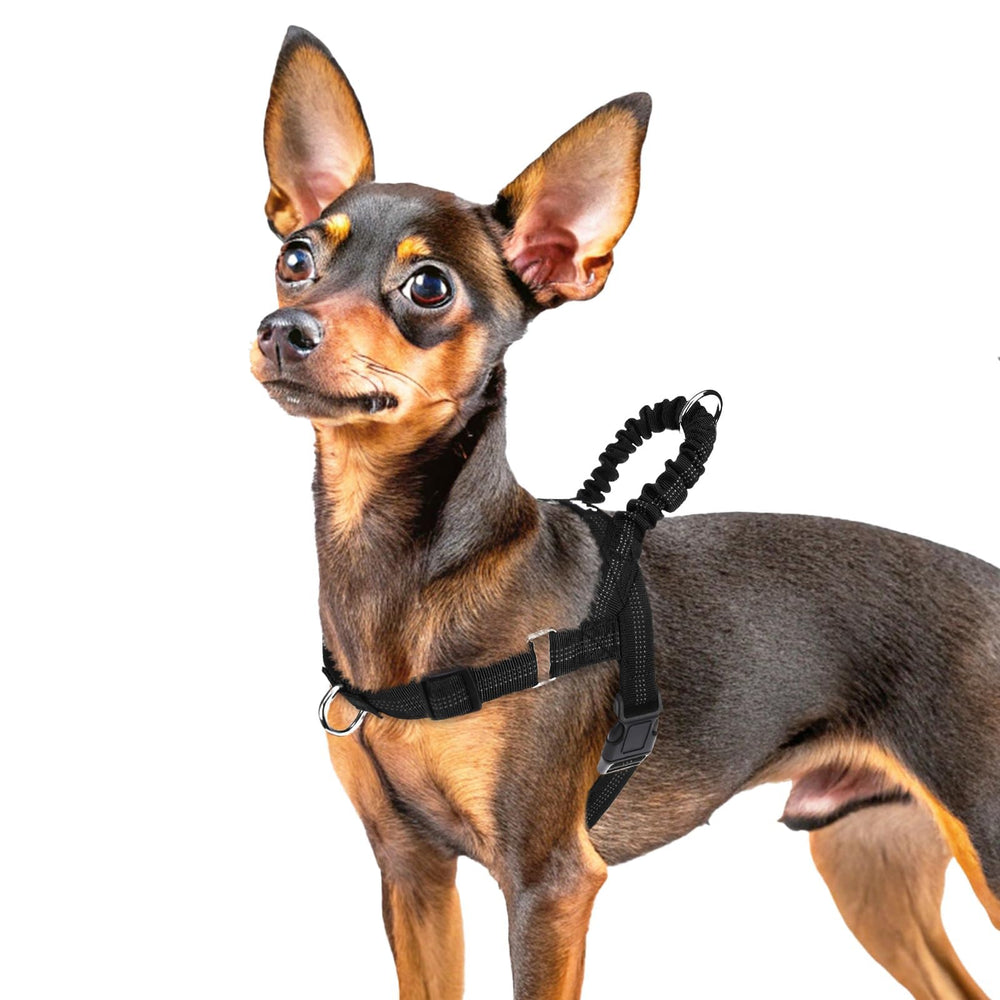 Arnés PUPTECK sin tirones con clip frontal para caminatas suaves