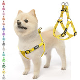 Arnés sin tirones PUPTECK para perro en color amarillo abeja, control suave durante caminatas.