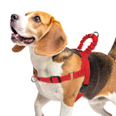Arnés Pupteck sin tirones para perro mediano, vista frontal, control suave.