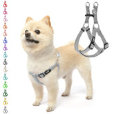 PUPTECK arnés sin tirones para perros: control cómodo durante paseos.