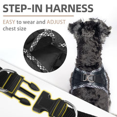 Arnés PUPTECK disponible en tallas para perros pequeños