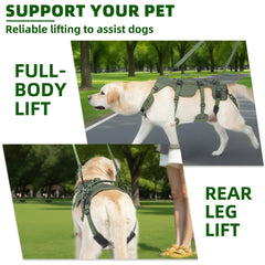 PUPTECK asa ayuda-perro: asas firmes para mover al animal con mayor seguridad.