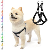 PUPTECK chaleco perro sin tirón XS para paseos tranquilos