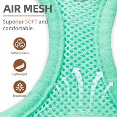 PUPTECK collar con campana verde para identificación y estilo