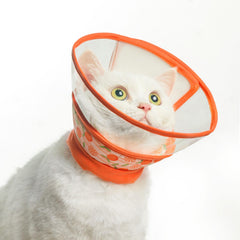 Collar suave de PUPTECK para gatos, cuello cómodo para uso diario