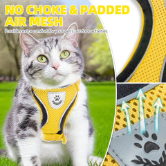 PUPTECK correa de 4,9 pies para gato, alcance cómodo y control durante caminatas.