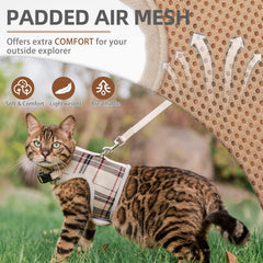 Correa para gatos de PUPTECK, paseo seguro y control cómodo.