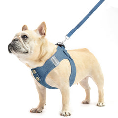 Correa Pupteck para perro con malla ligera que mantiene al perro fresco
