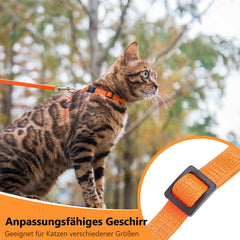 PUPTECK arnés cómodo para gatos, diseño ergonómico para paseos.