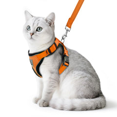 PUPTECK arnés para gato naranja con cierre seguro para paseos.