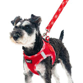Arnés PUPTECK con diseño de entrada frontal, fácil de colocar para perros pequeños.