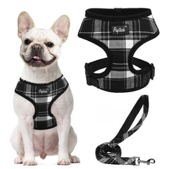 Arnés PUPTECK de malla suave para perros, comodidad diaria durante paseos