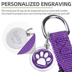 PUPTECK etiqueta ID DIY, identificación personalizable para caminatas.