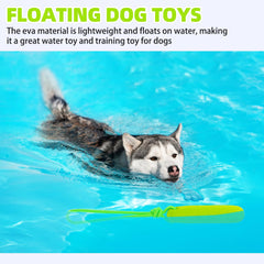 Juguete flotante de EVA ligero de PUPTECK para juegos de agua.