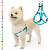 Pupteck No Pull Dog Harness in sky blue, chest-friendly design for comfortable walks
